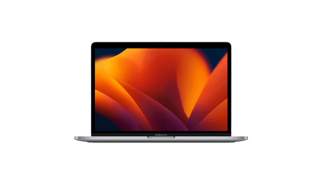 NeverSpy Laptop Protector - SummerSilk