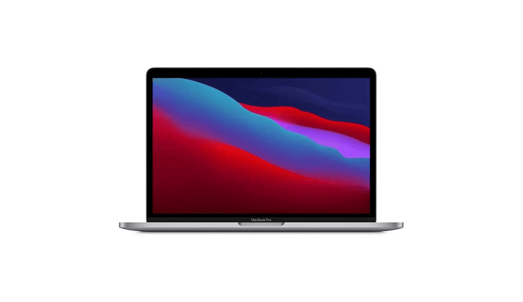NeverSpy Laptop Protector - SummerSilk