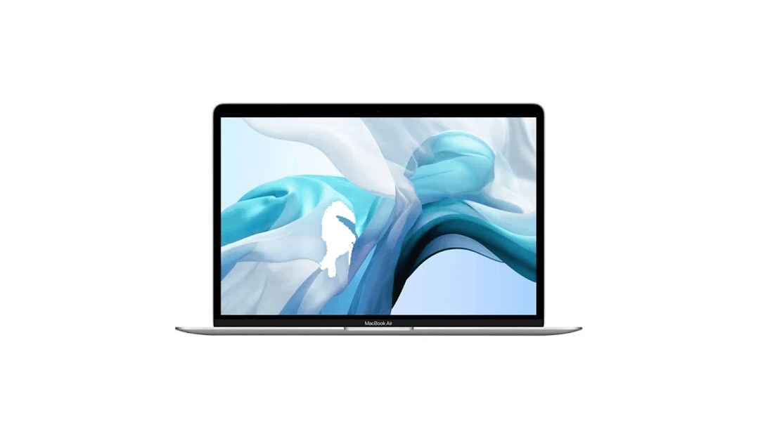 NeverSpy Laptop Protector - SummerSilk
