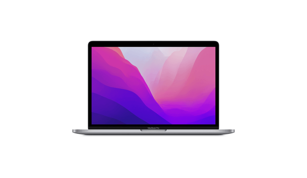 NeverSpy Laptop Protector - SummerSilk