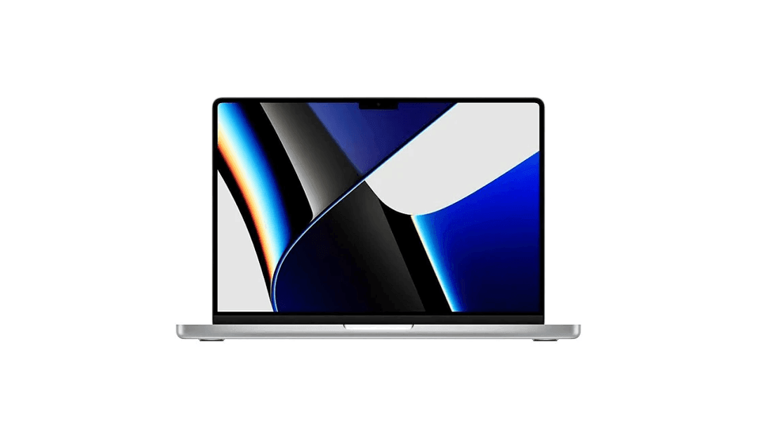 NeverSpy Laptop Protector - SummerSilk