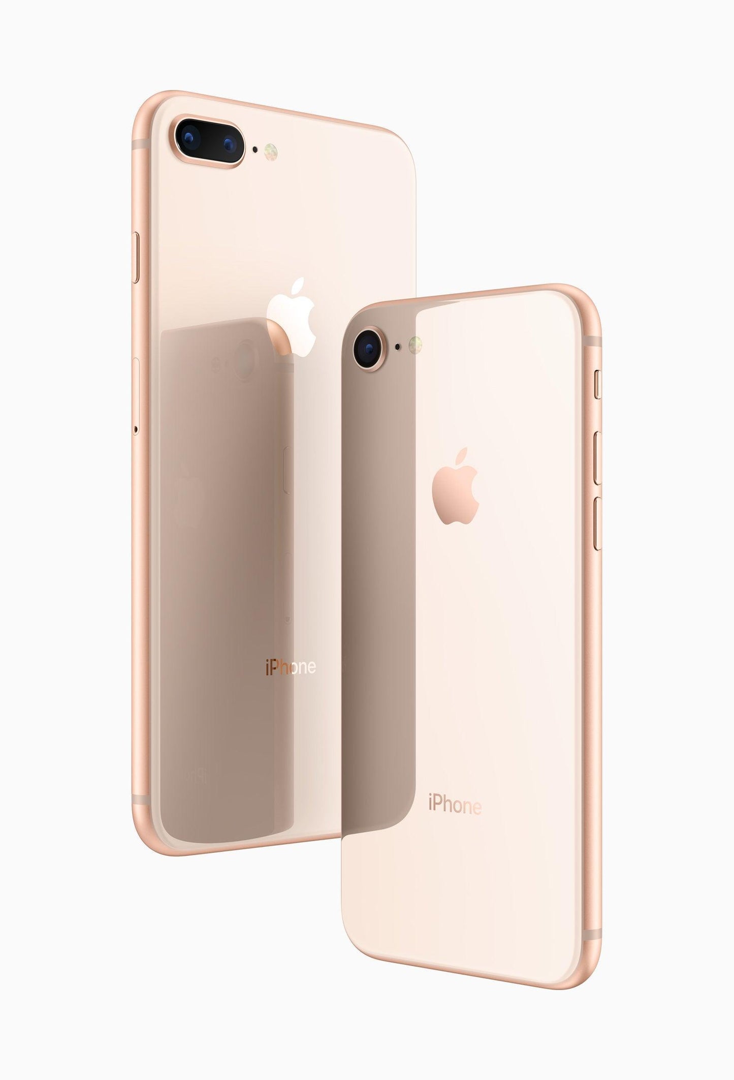 NeverSpy Screen Protector - SummerSilk